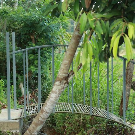 Ayurnest Pool Resort Wayanad Batheri Bagian luar foto