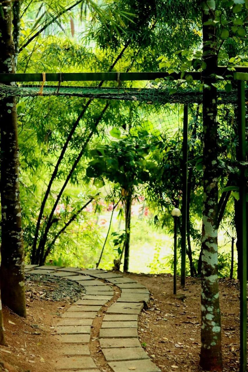 Ayurnest Pool Resort Wayanad Batheri Bagian luar foto